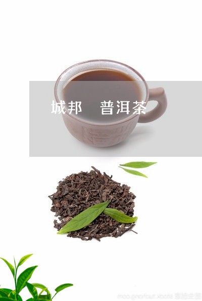 城邦 普洱茶/2023042852664